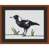 Australian Magpie cross stitch chart by Maureen Maguire.