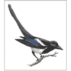 American Black Beaked Magpie kit 