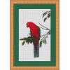 King Parrot cross stitch chart by Maureen Maguire.