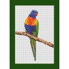 Rainbow Lorikeet cross stitch kit by Maureen Maguire.