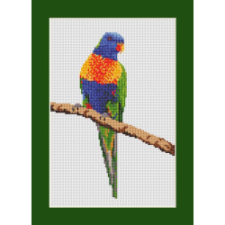 Rainbow Lorikeet cross stitch kit
