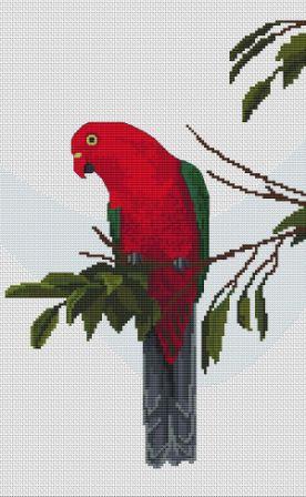 King Parrot cross stitch kit by Maureen Maguire