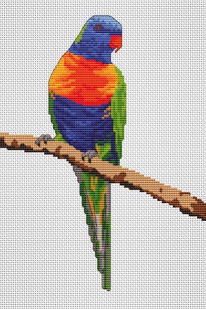 rainbow lorikeet cross stitch kit by Maureen Maguire