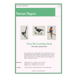 Mini Australian Bird Kit - magpie lorikeet and wren