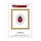 Ladybug mini cross stitch kit