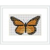 Monarch Butterfly cross stitch kit by Mamie Designs.